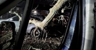 Dad ‘lucky to be alive’ after 30-foot tree fell on van he was driving