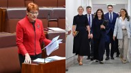 ‘Get over it, it won’t happen’: One Nation leader Pauline Hanson doubts Liberals’ net zero retreat