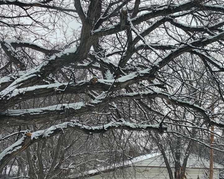 Weyburn weather station back online after data errors