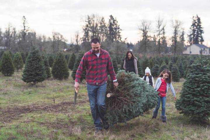 Why IL Families Love Richardson Christmas Tree Farm