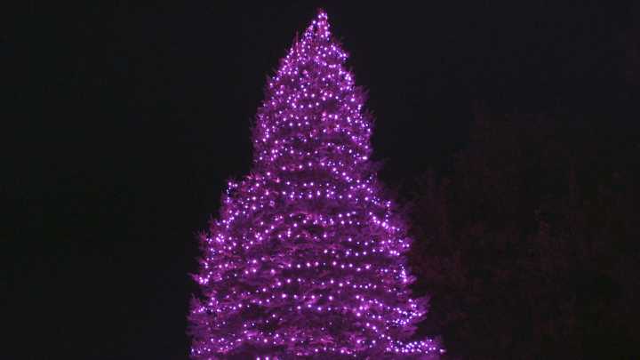 Mother and daughter honor loved one’s life with a tree lit in her memory