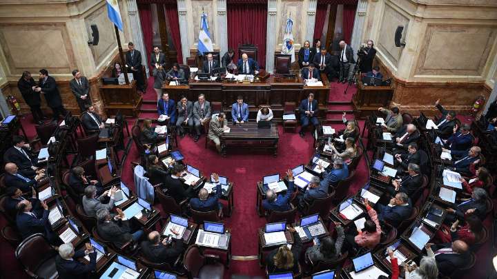 Senado: la oposición se prepara para su última sesión antes del recambio legislativo
