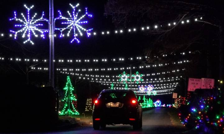 Panther Creek's Christmas lights shine for a good cause