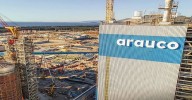 Arauco abre vacantes en regiones: atención en Santiago, Chillán, Arauco, Concepción y Valdivia