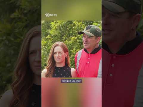 Desperate Search After Family Dog Stolen With Ute In Queensland