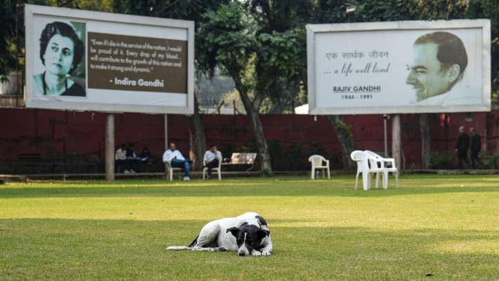 Congress wins 6 of 61 seats it contested in Bihar Assembly elections