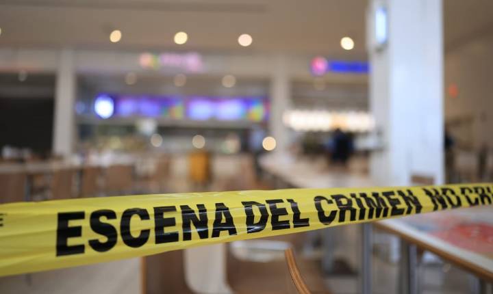 Sentencian a 19 años de cárcel al hombre que apuñaló a su pareja en centro comercial de Bayamón