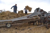 Threshing demonstration brings pioneer harvest days to life