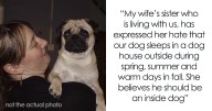 Sister Hates How Woman Treats Her Pug, Decides To Gift Him Away In Secret: “What Can We Do About It?”
