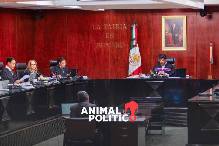 Corte pospone debate de proyectos sobre indemnizaciones y derechos colectivos de Batres y Esquivel