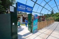 Empresa Municipal de Surco reclama devolución de predio para personas con discapacidad