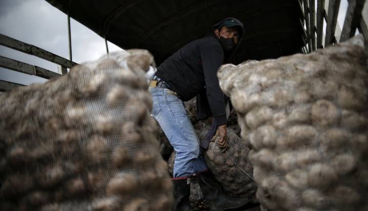 Solo la papa sube de precio esta semana: así se comporta la canasta familiar en Colombia