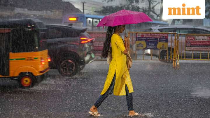Will schools remain shut today? IMD warns of rainfall across Tamil Nadu