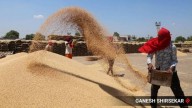 Foodgrain production hits record high