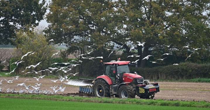 Balaclava gangs target UK farms in terrifying rural crime spree 