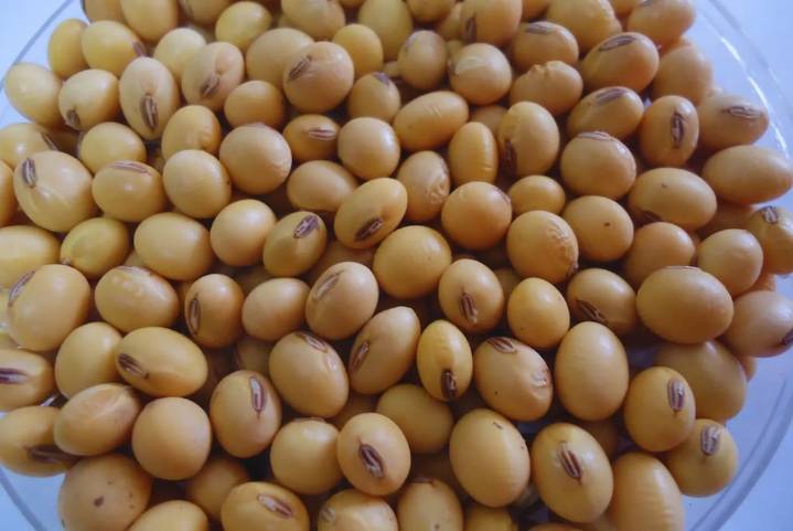 La soja cayó por tercera rueda consecutiva en Chicago, pero ganó $5000 en Rosario por la suba del dólar