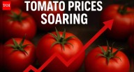 Why are tomato prices soaring? Retail prices shoot up 50% in a fortnight