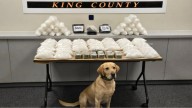 Drug bust seizes $1.3M of cartel's narcotics in King County