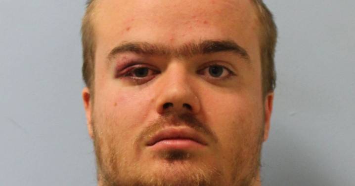 Thug who threw boy, six, off the Tate Modern guilty of horrific attack on nurses