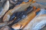 FEROZ ALLANAMIENTO! Rifles, escopetas pescados en plena veda secuestrados por la policía (IMÁGENES)