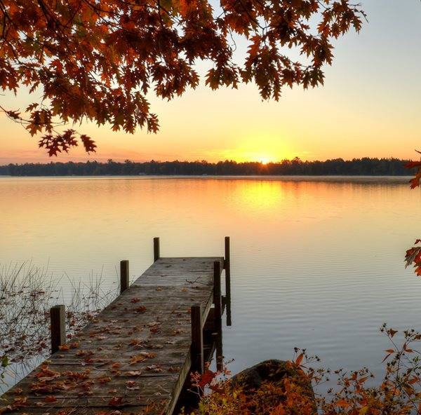 Truman Franklin Williams