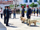 División Policial de Chimbote pasa al retiro dos canes