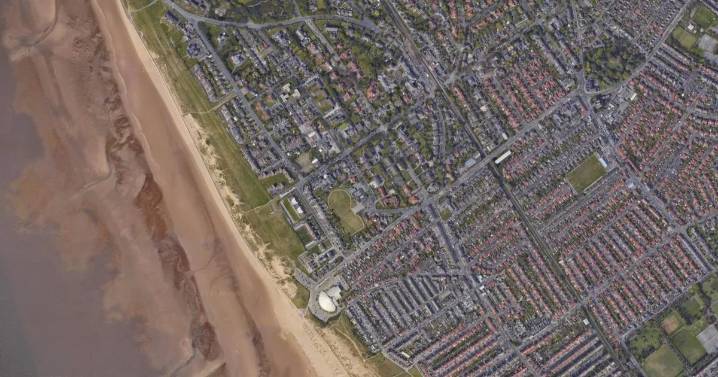 Man armed with 'machete and air pistol' seen trying car doors as suspect arrested