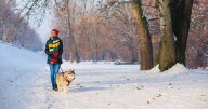 Dogs should not go outside when temperatures fall below specific level