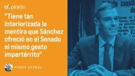 Pedro Sánchez y algunos hombres buenos