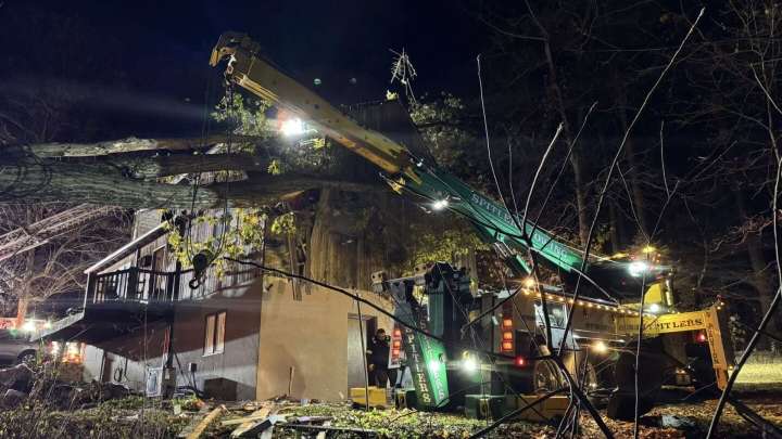 Heidelberg Township, Pa. woman pinned in bed by fallen tree freed after multi