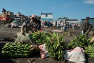 Programa Mundial de Alimentos al borde del colapso por los niveles de financiación históricamente bajos.