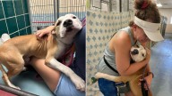 Affectionate Texas Pup’s Gentle Hugs Convince Advocates To Fight For His Second Chance