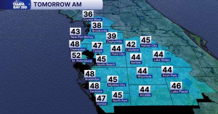 Cold weather shelters to open across Tampa Bay