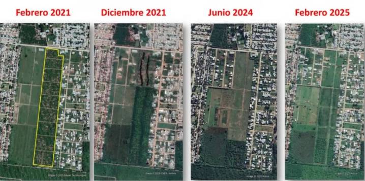 El verde de las plantaciones de limón se pierde bajo el cemento y el paisaje del Gran San Miguel de Tucumán cambia para siempre