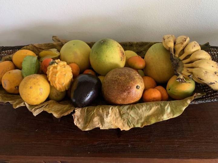 Tropical Gardening: Have a luscious Thanksgiving