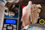 Allanan puntos de venta de drogas en Victoria: secuestran marihuana y más de $950.000