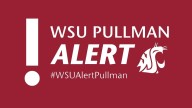 WSU study reveals higher risk of sexual violence for women on campus