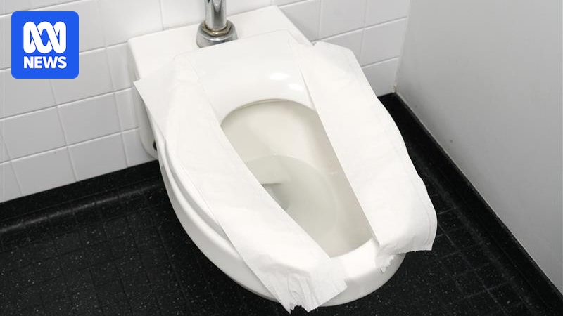 How dirty are public toilet seats?