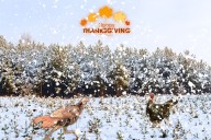 The Storm Considered Kentucky’s Worst Thanksgiving Snowfall