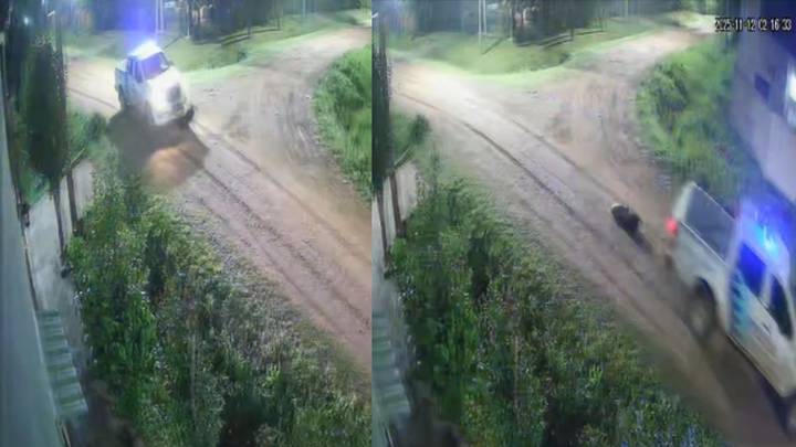 San Vicente: patrullero atropelló un perro, policías recogieron el cuerpo y ahora los investigan