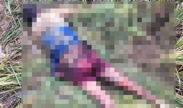 Youth Dies After 11 kV Wire Snaps in Jagatsinghpur