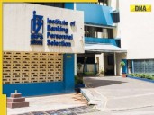 IBPS Clerk Prelims Exam 2025 BIG UPDATE: Result to be announced soon at ibps.in