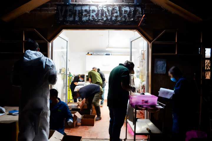 Profepa denuncia tráfico ilegal ante la FGR tras hallar 774 tortugas en Tijuana