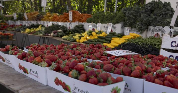 Popular food assistance program that offers extra money for fruits and veggies returns