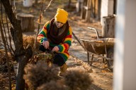 4 Common Yard Mistakes That Can Kill Your Lawn Over Winter