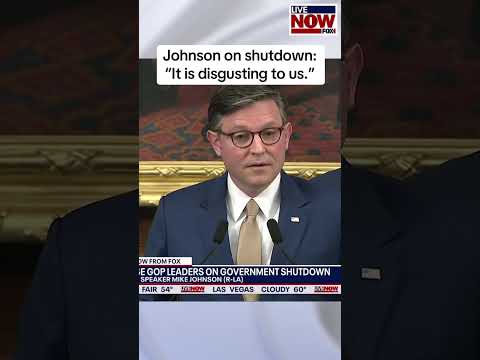 Mike Johnson called on Democrats to join Republicans in voting to end the shutdown. #politics