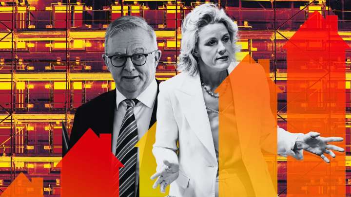 ‘Ignorant of basic economics’: Albanese government blamed for fuelling housing crisis as prices surge off the back of five per cent deposit scheme