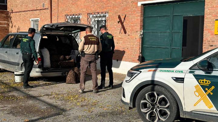 Cinco detenidos en un pueblo de Huesca por robar 17 sacos de nueces valorados en más de 2000 euros