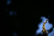 There are some crimes where only a jury can ensure justice