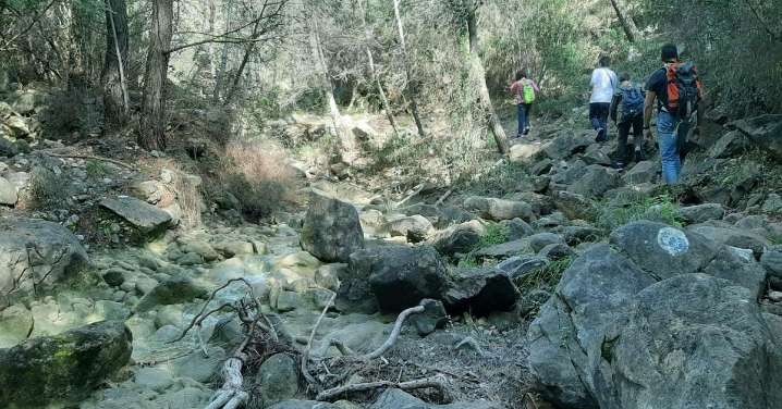 Encuentran un cadáver en un paraje natural de difícil acceso de Marbella